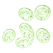 078