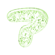 081