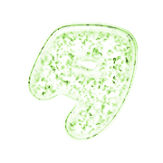 096