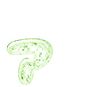 127