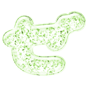 144