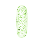 170