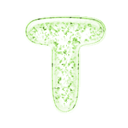 181