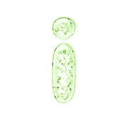 196