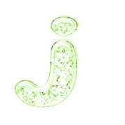 197