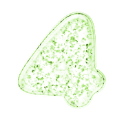 217