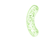 234