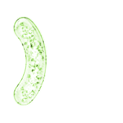 235