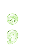 243