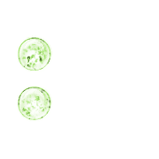 244