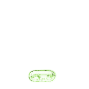 250