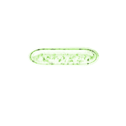 251