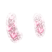 002