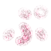 078