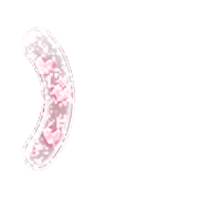 235