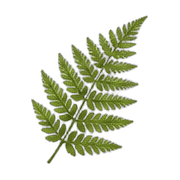 031