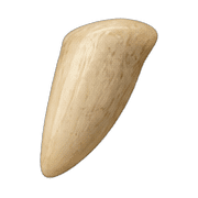 007