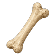 008