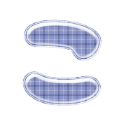 010