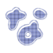021