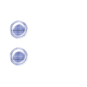 244