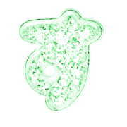 013