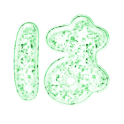 026