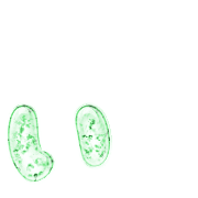 048