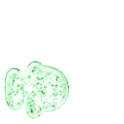 054