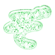 065