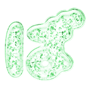071
