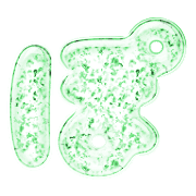 080