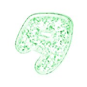 096