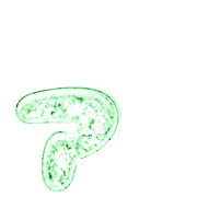 127