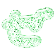 144