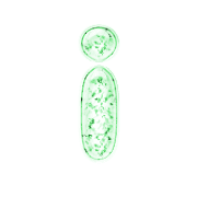 196