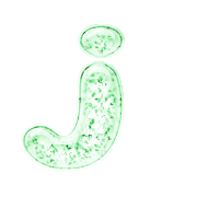 197