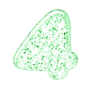 217