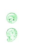 243