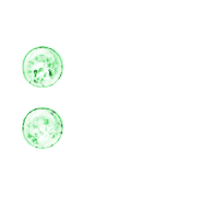 244