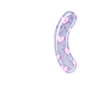 234