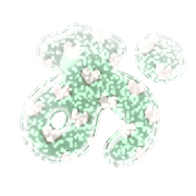 005
