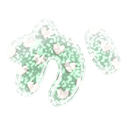 006