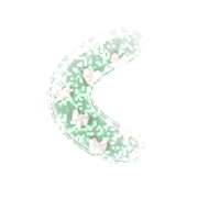 008