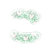 010