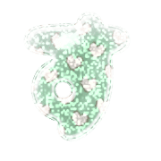 013