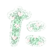016
