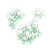 021
