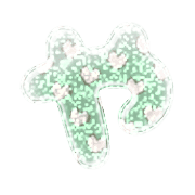 036