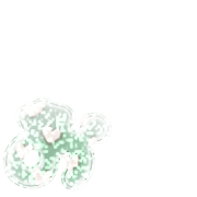 051
